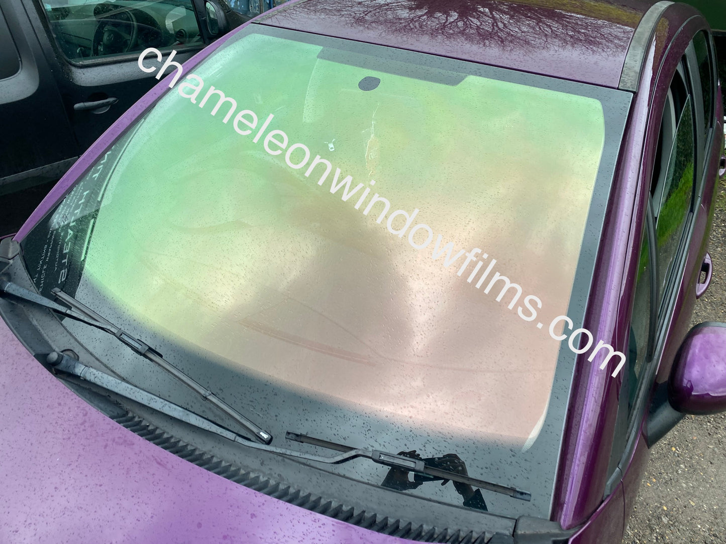 Green-Gold Chameleon Window Film 82% VLT